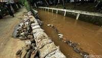 Gegara jebolnya tanggul, sejumlah rumah warga di empat RT yakni RT 01, RT 03, RT 04 dan RT 10 RW 01 terendam banjir.