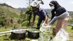 Potret Eks Gurandil Pongkor yang Alih Profesi Jadi Petani Sayur