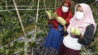 Kenyamanan hidup menjadi alasan utama mereka memilih pekerjaan tersebut.