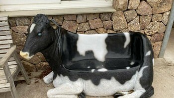 Sofa berbentuk sapi. Unik atau aneh? Foto: Bored Panda
