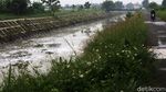 Parah! Sungai Cinambo Bandung Berbuih