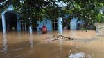 Potret Aktivitas Warga Terdampak Banjir di Jember