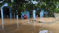 Menurut Badan Penanggulangan Bencana Daerah (BPBD) Jember sebanyak 1.294 rumah rumah warga terdampak banjir dan tanah longsor di tiga kecamatan di Jember yakni Semboro, Tanggul, dan Sumberbaru akibat hujan deras dan meluapnya air sungai sejak Rabu (10/11/2021).