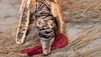 Datang dan benamkan diri Anda lewat pameran seni sekali seumur hidup yang menggunakan kekuataan seni dan budaya untuk menghubungkan kita melintasi zona waktu dan internasional.  Foto: Getty Images for The Box/Matt Keeble