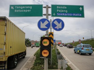 Sapi Lepas di Tol Cengkareng! Lari Sejauh 3,8 Km