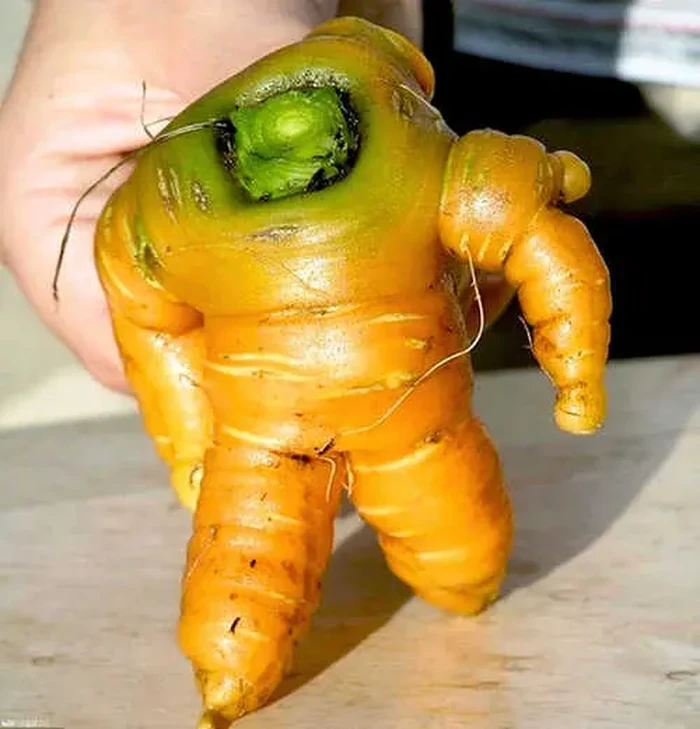 Sayur buah bentuk unik Unik! 10 Buah dan Sayur Ini Berbentuk Seperti Penis hingga Kupu-kupu
