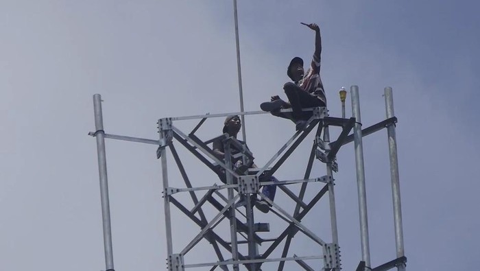 viral pemuda panjat tower demi konten di lumajang