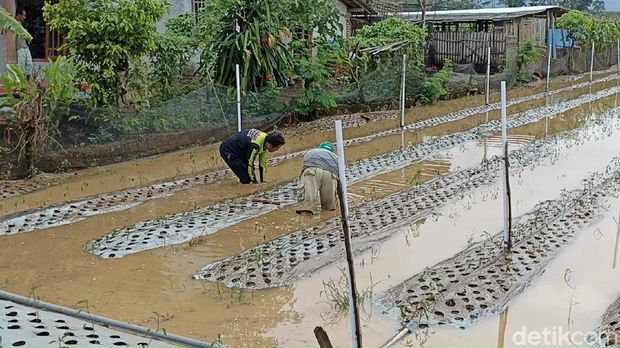 banjir di tulungagung