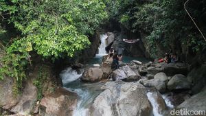 Potret Wisata Alam Hits di Bogor, Bikin Hati Adem
