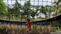 Mereka berkunjung ke taman itu hanya sekedar untuk bermain.
