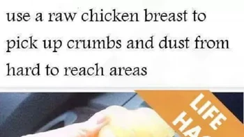 Salmonella, Salmonella, Salmonella! Bakteri Salmonella langsung menempel. Foto: via Imgur