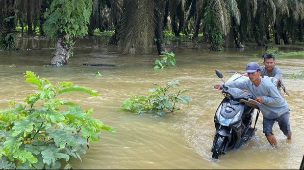 Hujan Deras-Sungai Meluap, 2 Desa di Riau Terendam Banjir hingga 1 Meter