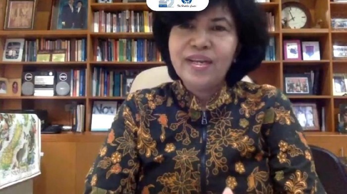 Ketua Dewan Research Habibie Center Dewi Fortuna Annwar