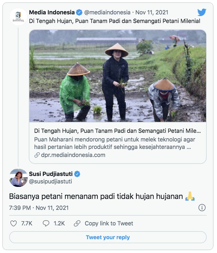 Ketua DPR RI Puan Maharani ikut menanam tanaman padi saat kunjungan kerja ke Daerah Istimewa Yogyakarta (DIY). Ist