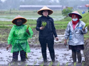 Puan Dinilai Tak Mesti Tiru Jokowi