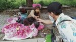 Pedagang Bunga Tabur Mengais Rezeki dari Tradisi Ziarah Kubur