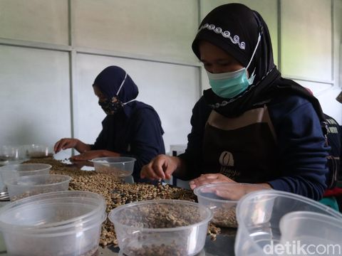 Srikandi Bandung Sukses Bawa Kopi Kamojang Mendunia