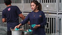 Monita mengungkapkan bahwa ayam jago ternakannya sudah bisa dijual sejak berusia 4-7 bulan. Untuk itu dia betul-betul merawat dengan teliti ayam-ayam tersebut sejak kecil.