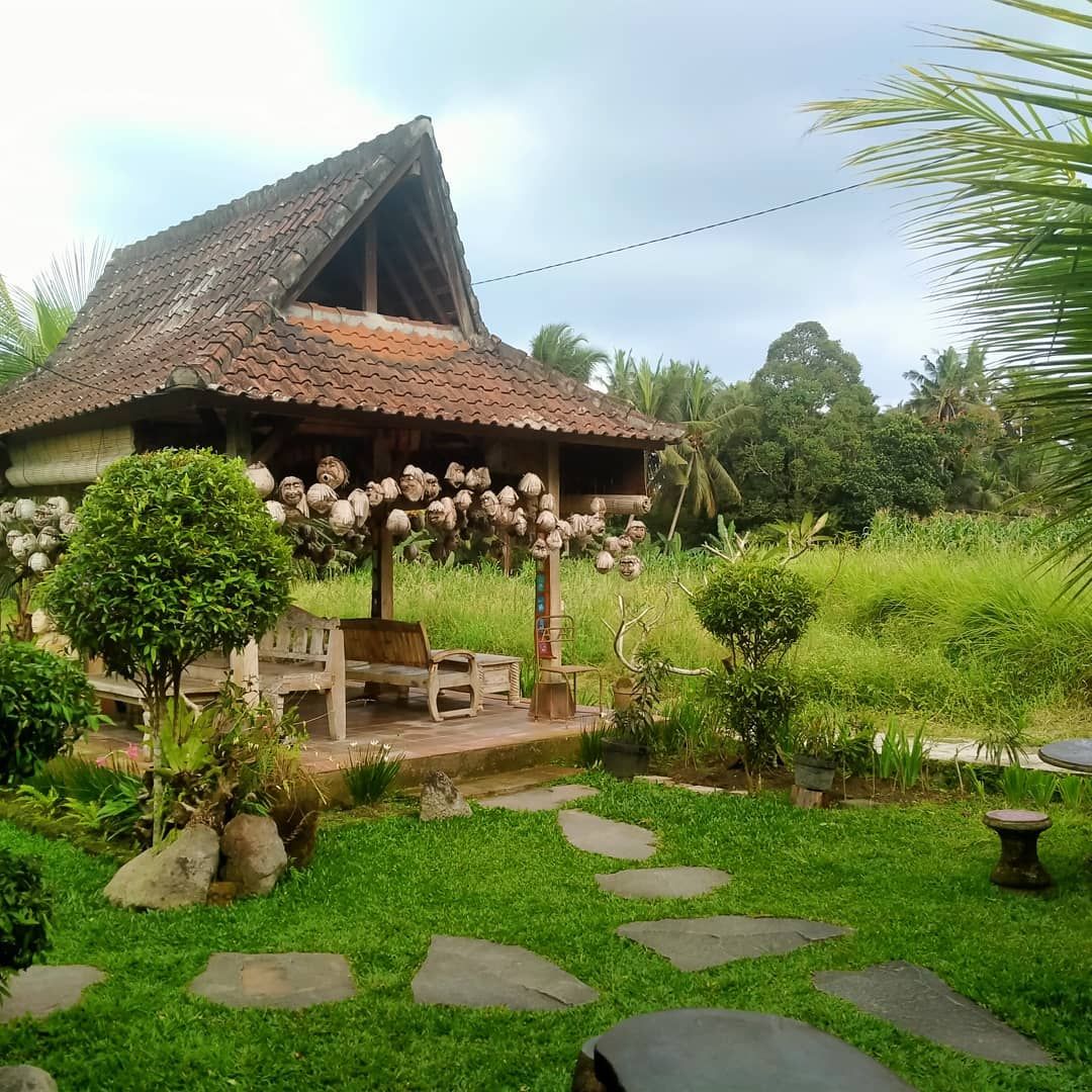 Ubud Kota Wisata Terbaik ke-4 di Dunia, Ini 7 Warung Makan yang Terkenal Enak