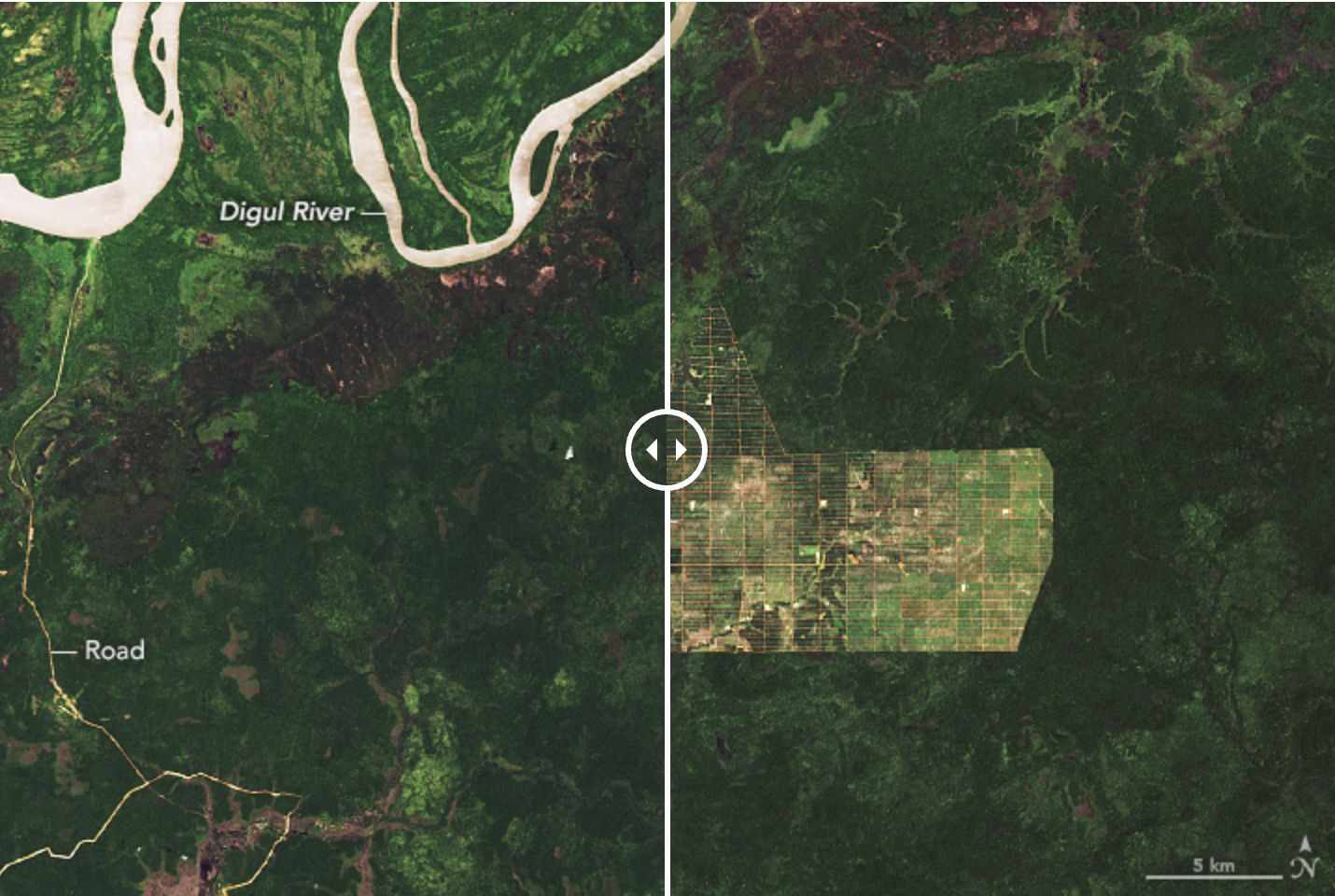 Foto Kiri: November/20/2002  Foto Kanan: November/27/2019 (Ist/https://earthobservatory.nasa.gov/ )