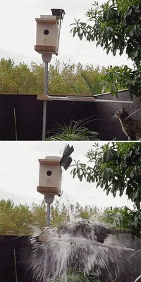 Foto solusi kocak untuk masalah modern