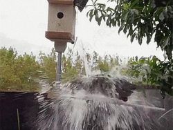 Kumpulan Solusi Kocak dan Kreatif untuk Aneka Masalah Modern