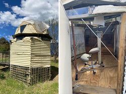 Kumpulan Solusi Kocak dan Kreatif untuk Aneka Masalah Modern