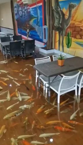 Kafe di Thailand Tawarkan Konsep Kolam Ikan Koi