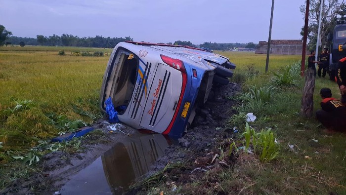 Bus Sugeng Rahayu bernopol W 7295 UP terguling di Nganjuk. Bus tersebut membawa lebih dari 30 penumpang.