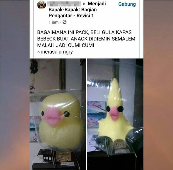 Makanan Zonk 10 Potret Makanan Tak Sesuai Ekspektasi yang Bikin Emosi