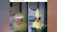 Niat hati ingin menyenangkan anak dengan gulali bebek yang imut dan manis. Sayangnya karena disimpan semalakan, bebek yang lucu justru berubah menyeramkan. Foto: Istimewa
