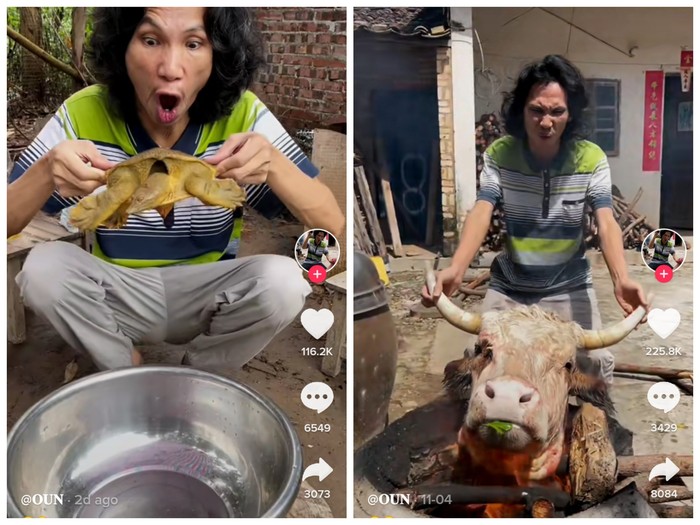 Spesialis Makanan Ekstrem, Pria Ini Masak Bulus dan Kepala Sapi!