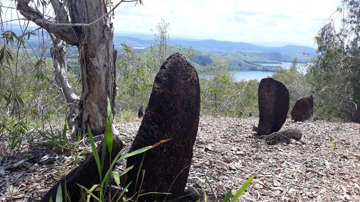 Menhir dan Batu Tulis di Bukit Tutari, Jayapura