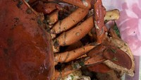 Meski sempat menentang hubungan Bibi dan Vanessa di awal, nyatanya Dewi belakangan amat dekat dengan Vanessa. Ia bahagia dikirimi sepaket kepiting oleh menantu cantiknya. Kiriman mantu tersayang, kata Dewi.