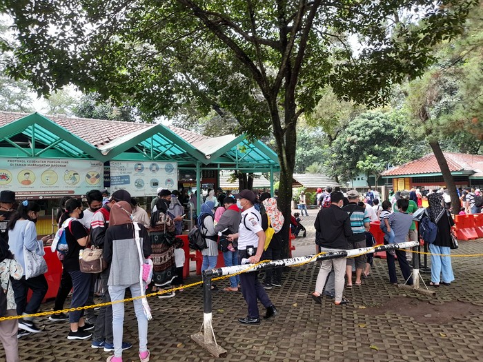 Pengunjung Ragunan Sabtu (13/11)