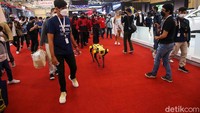 Hyundai Indonesia juga menyampaikan dengan adanya robot Spot ini nantinya bisa digunakan di lingkungan pabrik.