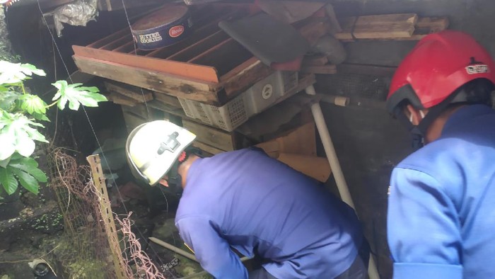 Petugas Damkar evakuasi 4 ekor ular kobra di Jaktim