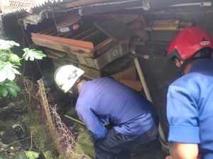 Hiii...! Induk Kobra dan 3 Anaknya Bersarang di Rumah Warga di Jaktim