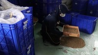 Kopi yang dipetik di kebun itu diproduksi di Kampung Sangkan RT 2 RW 2, Desa Laksana, Kecamatan Ibun. Tempat produksi ini letaknya lima kilometer dari kebun.