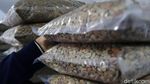 Kiprah Eti Sumiati, Petani Bandung yang Sukses Bawa Kopi Kamojang Mendunia