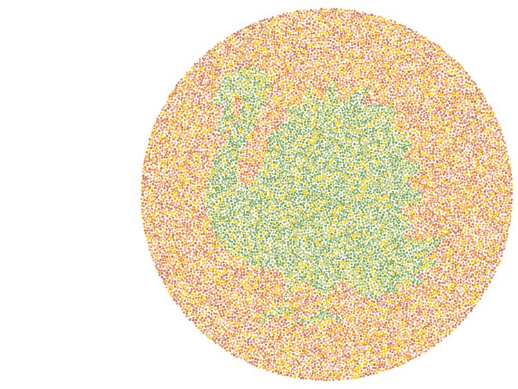 Bisa Lihat Gambar Hewan Ini? Kalau Kelihatan Tandanya Mata Kamu Normal