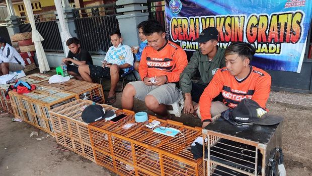 Vaksinasi COVID-19 saat lomba merpati di Ciamis