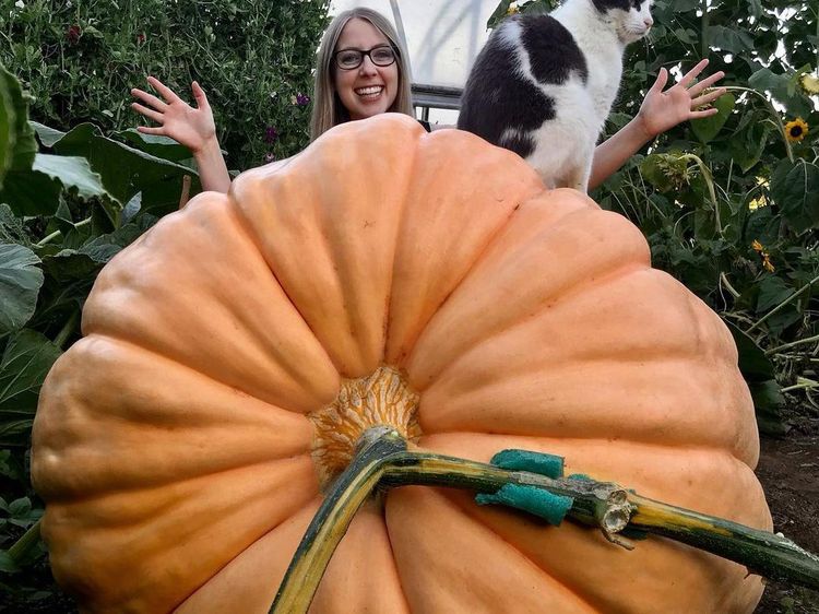 Wouuw! Ini 10 Buah dan Sayuran Raksasa, Ada Labu Beratnya 1 Ton