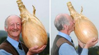 Petani ini sangat bangga memiliki bawang bombai super besar yang tumbuh di kebunnya. Sebutir bawang Bombay ini beratnya hampir 20 kilogram dan berhasil menjadi pusat perhatian.  Foto: Brightside