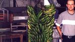 Wouuw! Ini 10 Buah dan Sayuran Raksasa, Ada Labu Beratnya 1 Ton