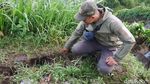 Awas! Waspada Longsor Susulan di Jalan Kolonel Masturi Lembang