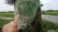 Meskipun PG sudah tidak beroperasi, lahan tebu sudah hilang dan Belanda sudah pergi tetapi dua tower penampung air itu masih bertahan.