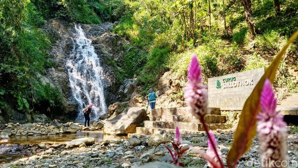 Desa Wisata Kaligono juga memiliki Curug Siklothok yang terletak di RT 04/RW 03, Dusun Jeketro juga menjadi spot andalan lain dengan ketinggian air terjun sekitar 30 meter. Warga percaya siapa saja yang membasuh muka dengan air terjun ini maka akan terlihat awet muda. Desa Wisata Kaligono juga memiliki Curug Siklothok yang terletak di RT 04/RW 03, Dusun Jeketro juga menjadi spot andalan lain dengan ketinggian air terjun sekitar 30 meter. Warga percaya siapa saja yang membasuh muka dengan air terjun ini maka akan terlihat awet muda.