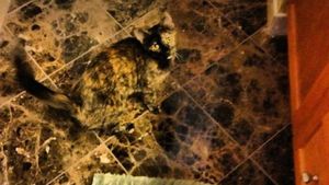 Awas Siwer! Foto Kamuflase yang Sulit Ditebak