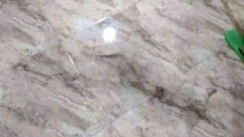 Menemukan sesuatu di lantai? Foto: Boredpanda